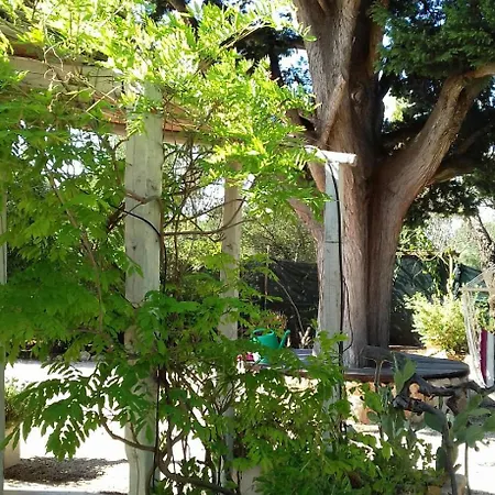 Trulli Mimosa *