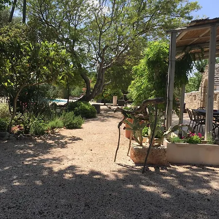 Trulli Mimosa
